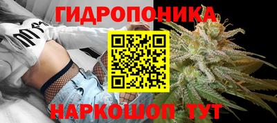 apvp Краснознаменск