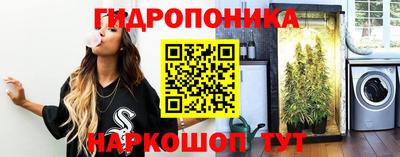 apvp Краснознаменск