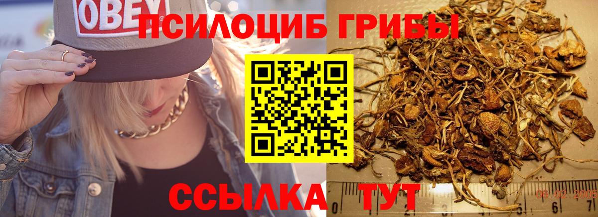 Галлюциногенные грибы ЛСД Шелехов
